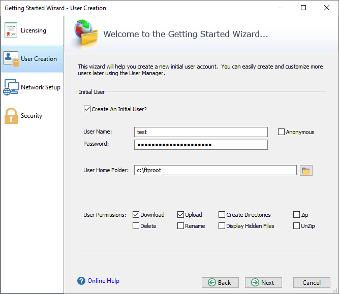 Cerberus FTP Server Getting Started Wizard's Initial User Creation Page