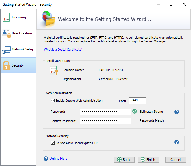 instaling Cerberus FTP Server Enterprise 13.2.0