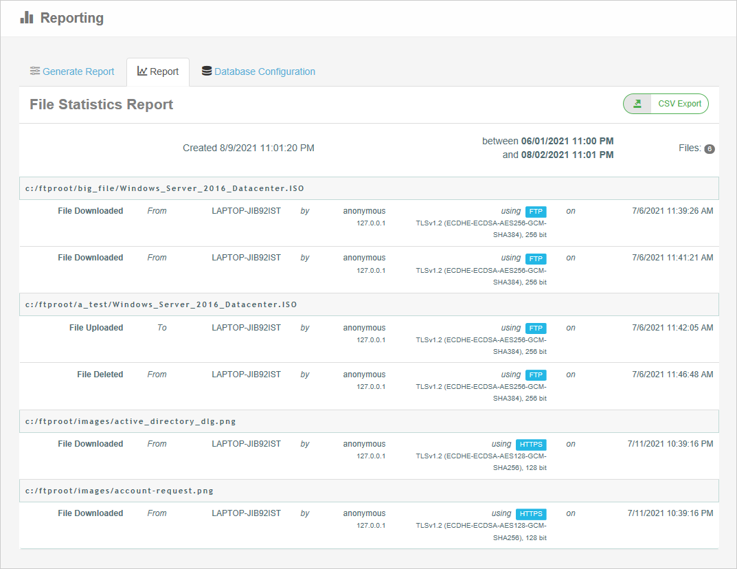 File Access Report